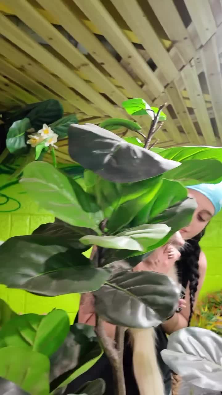 Video post from njexoticpets.