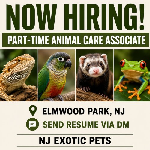 Photo post from njexoticpets.