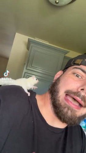 Video post from njexoticpets.