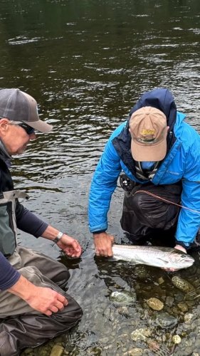 Video post from confluenceoutfitters.