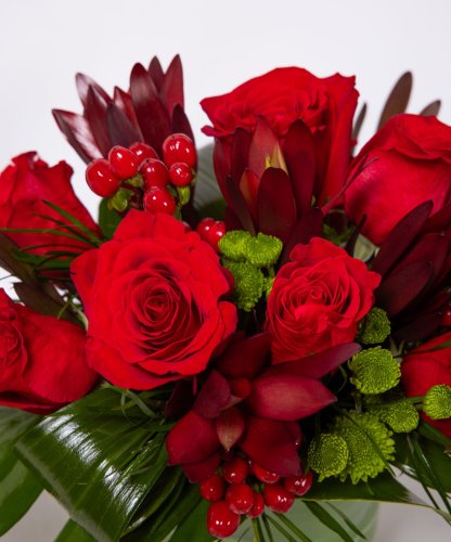50 Red Rose Ramo Buchón - Winston-Salem, NC | Bo-Ty Walker Florist