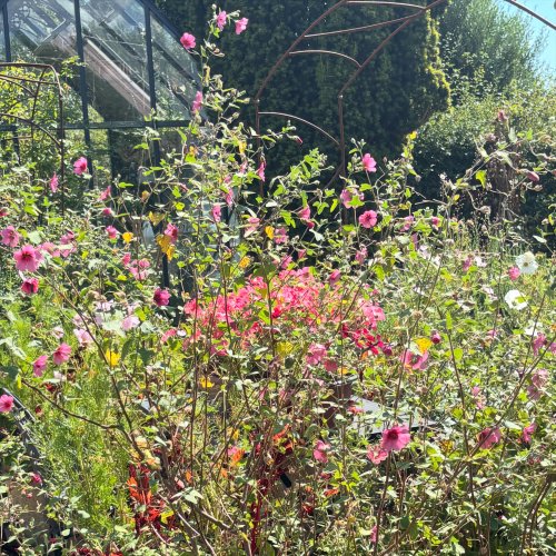 Photo post from gardenhousebrighton.