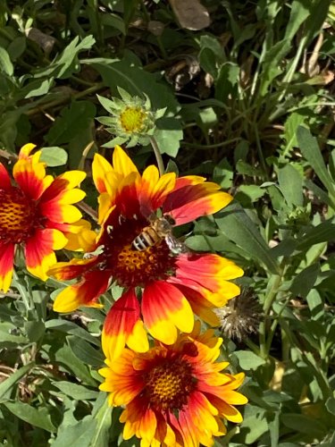 Photo post from patrickaleta.