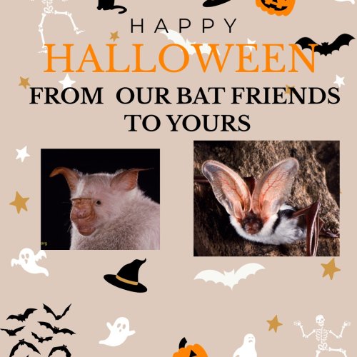 Photo post from wasatch.wildlife.