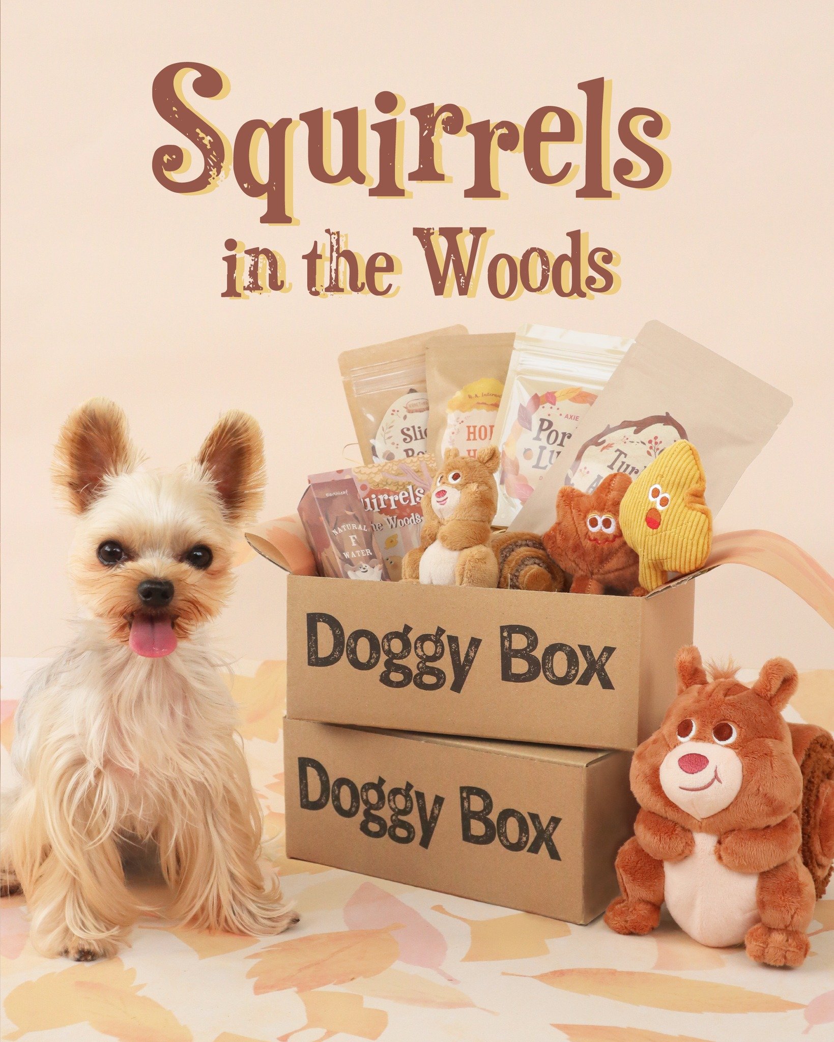 Doggy Box | ワンちゃんのためのワクワク定期便