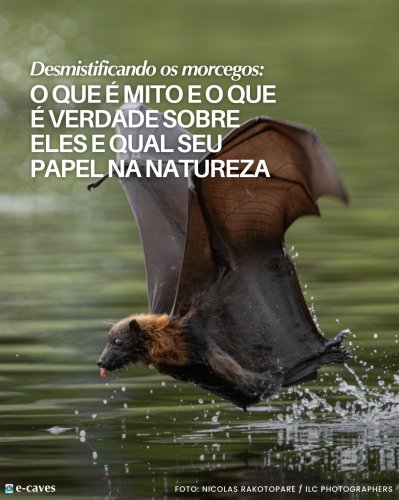 Carousel post from ecavesbrasil.