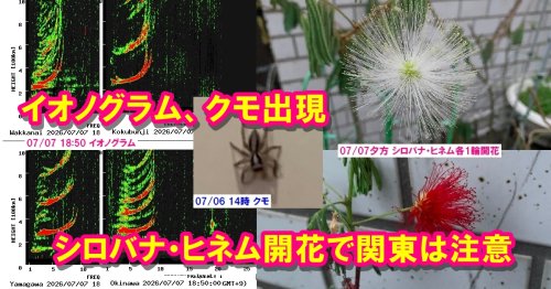 Photo post from nmomose.