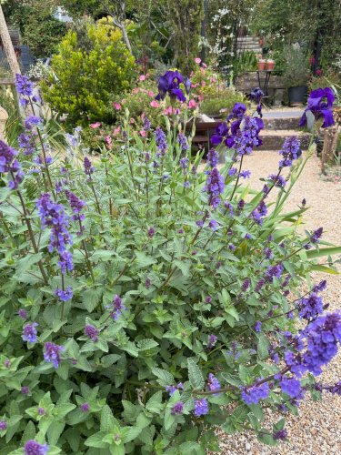 Photo post from gardenhousebrighton.
