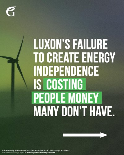 Carousel post from nzgreenparty.