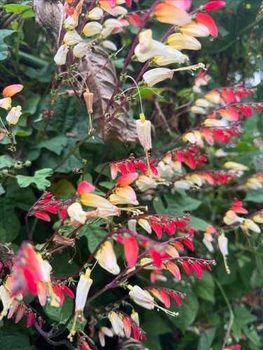 Carousel post from sussexprairies.