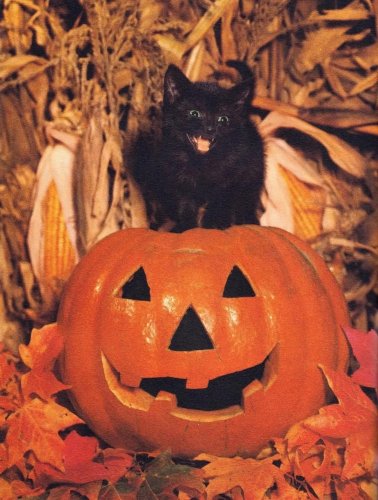 Photo post from margaritabloom.