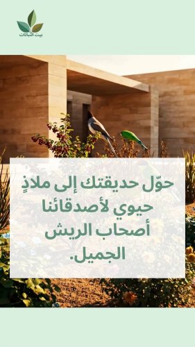 Video post from baytalnabatat.