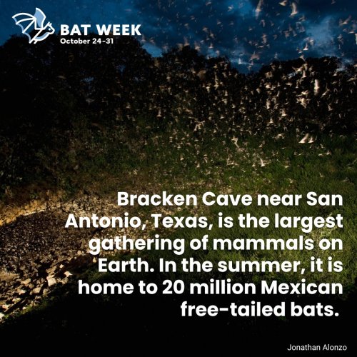 Photo post from butlerswcd.