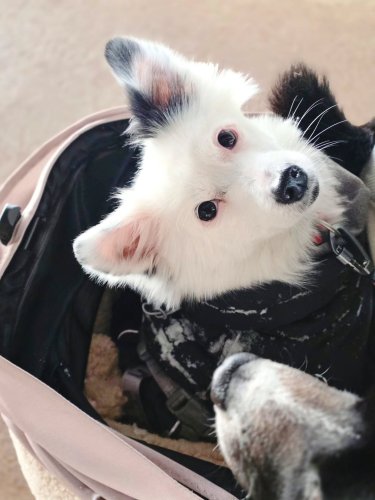 Carousel post from 2o_ozz.