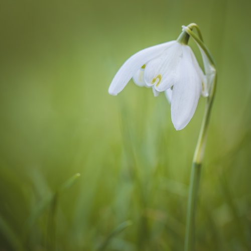 Photo post from angierobpics.