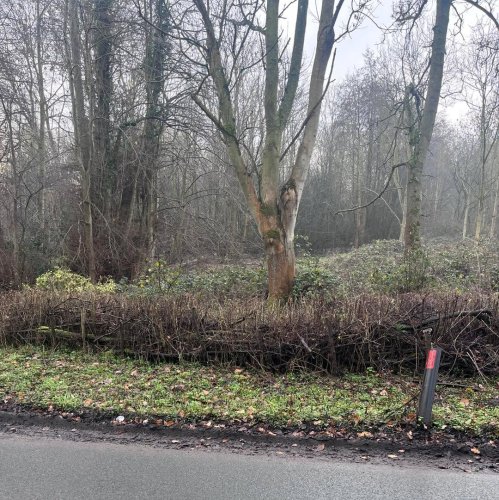 Photo post from grow_naturally_norfolk.