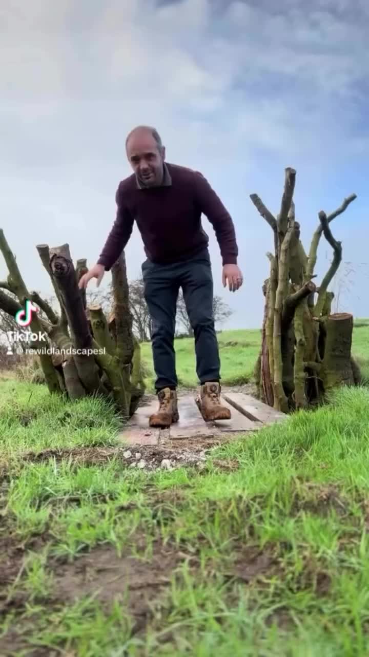 Video post from rewild_landscapesltd_uk.