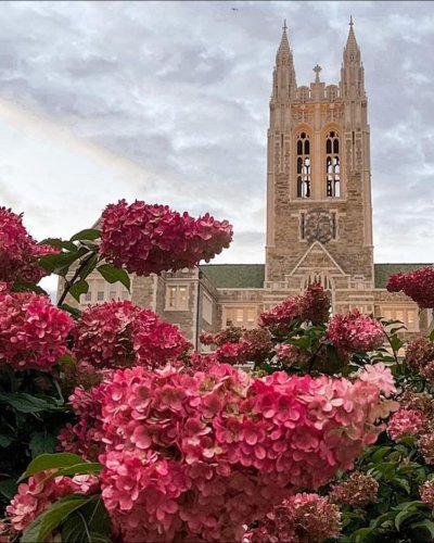 Photo post from bcssw.