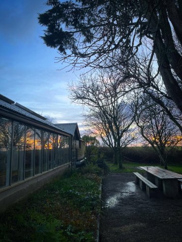 Photo post from potager_garden.