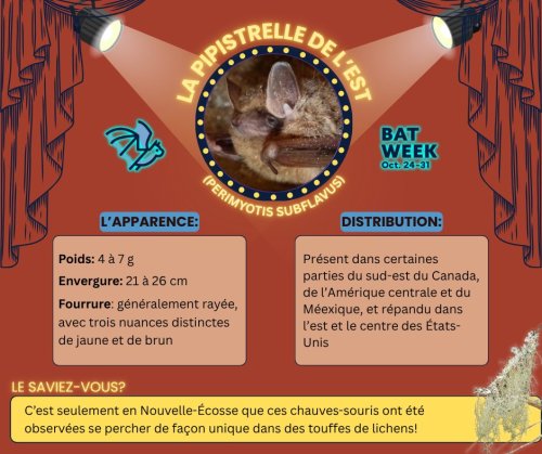 Photo post from merseytobeatic.