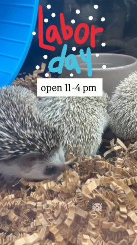 Video post from njexoticpets.