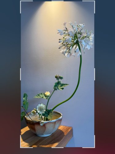 Photo post from gardenhousebrighton.