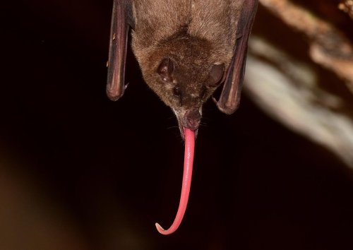 Carousel post from insidenatgeo.
