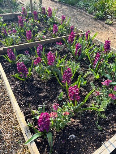 Photo post from gardenhousebrighton.