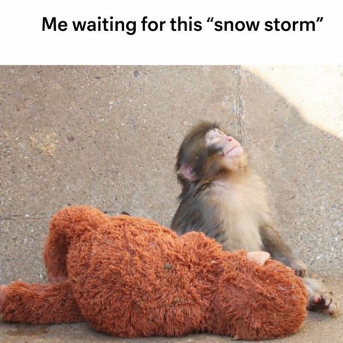 Photo post from njexoticpets.