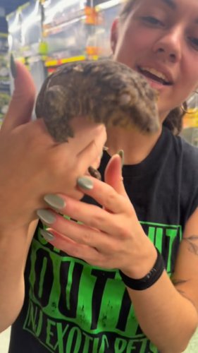 Video post from njexoticpets.