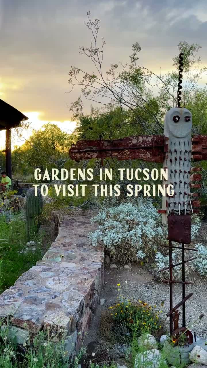 Video post from visittucson.