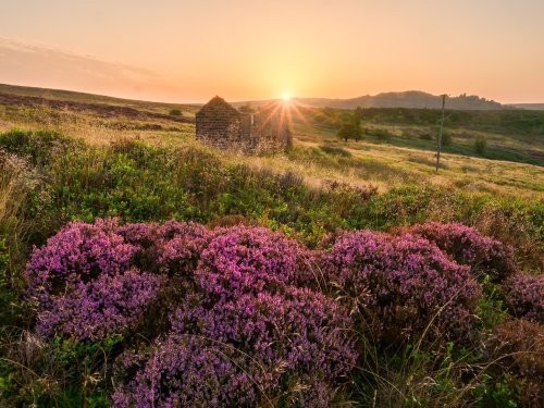 Photo post from rpslandscape.