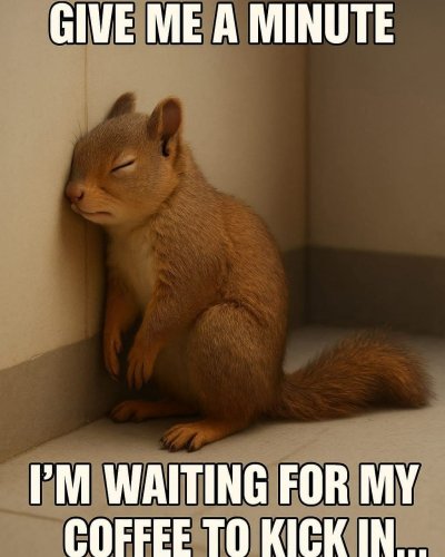 Photo post from withswatiprakash.