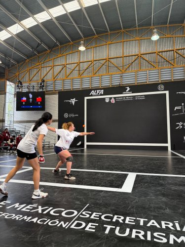 Carousel post from pelotavascachile.