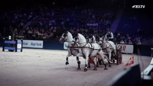 Video post from fei_global.