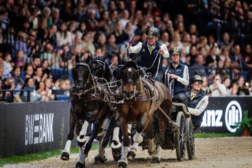 Carousel post from fei_global.