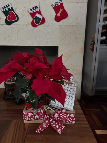 Photo post from la_gifteria.