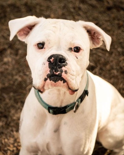 Photo post from theresortatportludlow.