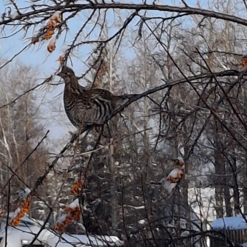 Carousel post from outdoor_rambler.