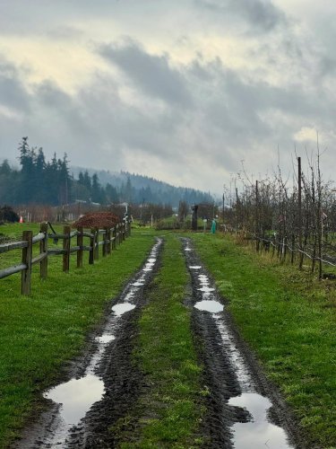 Carousel post from finnriver.