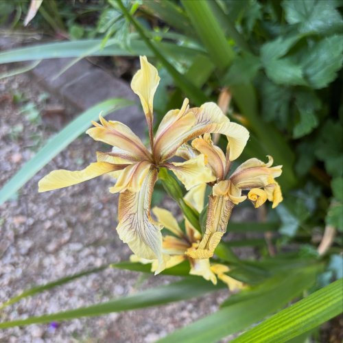 Photo post from gardenhousebrighton.
