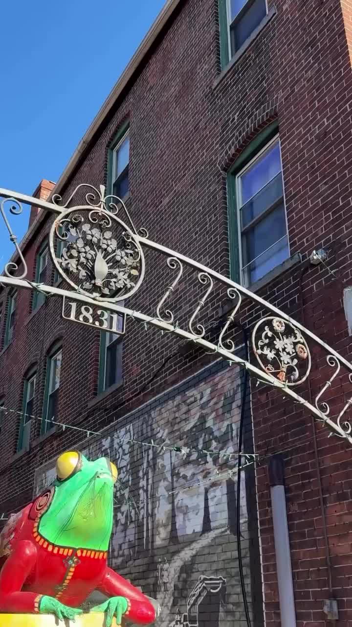 Video post from kerrigallery_wpa.