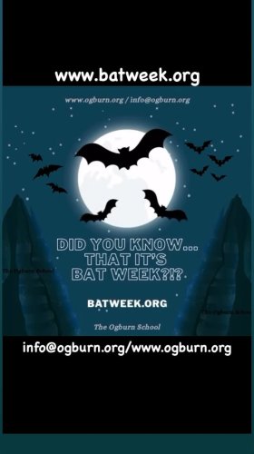 Video post from ogburnschool.