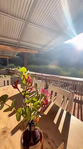 Video post from currumbinvalleyharvest.