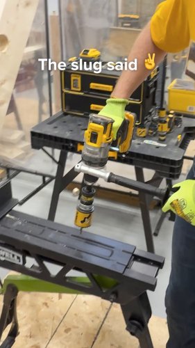 Photo post from dewalttough.