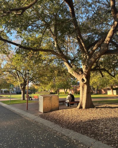 Photo post from alburycity.