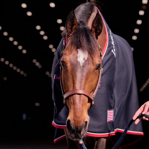 Photo post from fei_global.