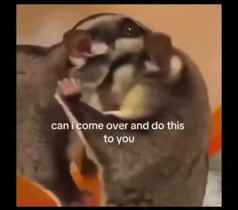 Video post from njexoticpets.