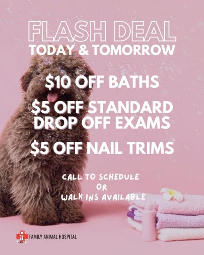 Photo post from familyanimalhospitalcm.