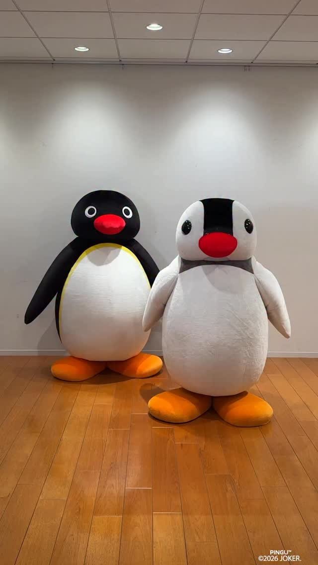 Video post from pingu_jp.